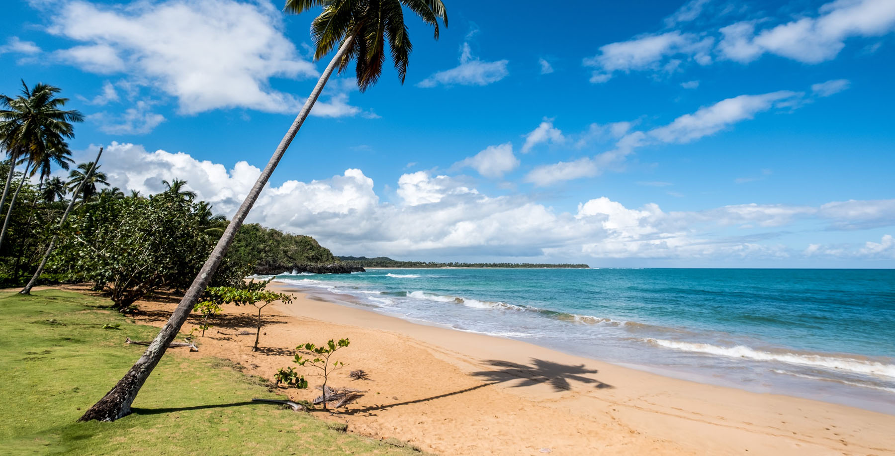 beach and sea