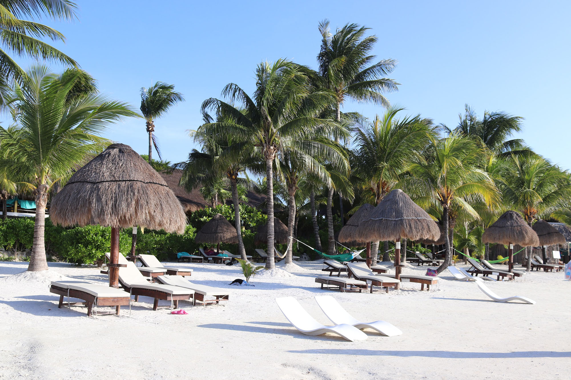 umbrellas over some sunbeds